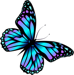 Letters Clipart Butterfly - Blue Butterfly Clipart Png