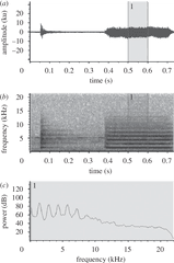 Waveform B Spectrogram And C Power Spectrum Of Full - Power Spectrum Vs Spectrogram Png