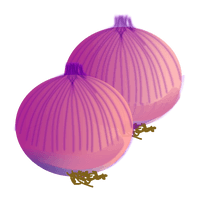 Onion Vector - Free PNG