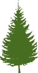 Pine Tree Png Clip Arts For Web - Clip Arts Free Png Backgrounds Clipart Black Pine Tree