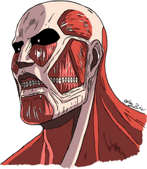 Attack - Attack On Titan Colossal Titan Head Png