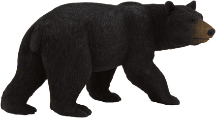 Bear Transparent Background Cute - Ours Noir Americain Png