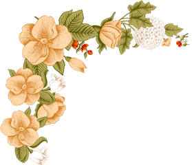 Peach Flowers Png - Flower Floral Design Clip Art Flower Free Download Flower Frame Png