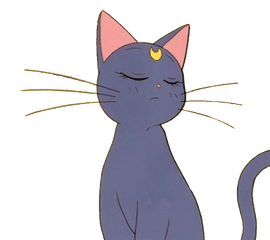 Sailormoon Cat Luna Cute Kawaii Anime - Sailor Moon Cat Transparent Png