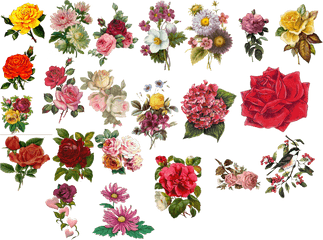 Vintage Flower Vector Png - Vintage Flowers Clipart