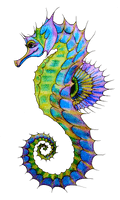 Seahorse Png Hd