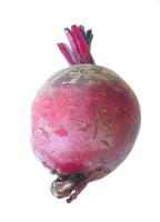 Beetroot Red Free Clipart HQ - Free PNG
