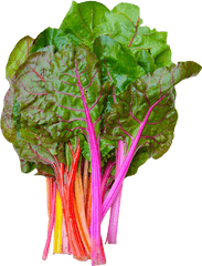 Download Rainbow Swiss Chard Png Image - Swiss Chard Png