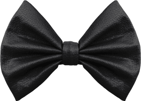 Tie Black Bow Free PNG HQ