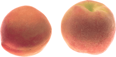 Peach Png Image