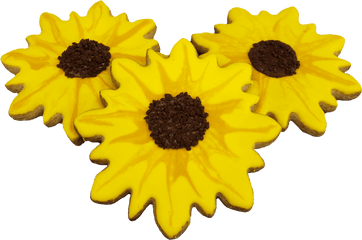 Sunflower Cookie - Sunflower Png