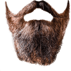 Beard Transparent - Beard Png Transparent