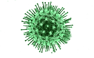 Virus Covid-19 Free Download Image - Free PNG