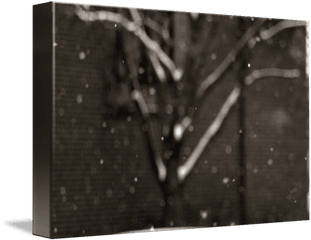 Falling Snow - Monochrome Png