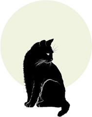 Cat Moon Iphone 12 Case - Black Cat Png