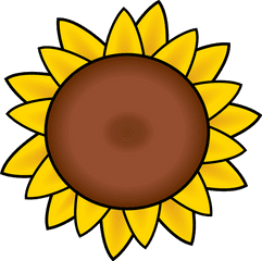 Download Hd Drawn Sunflower Petal - Sunflower Sunflower Clipart Png