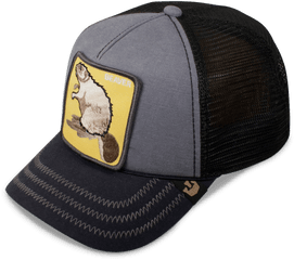 Honeywell Hat Shop Hats Goorin - For Baseball Png