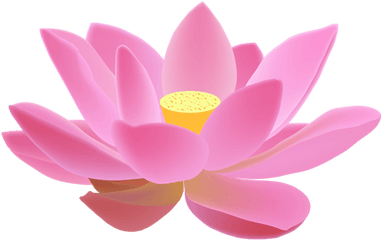 Lotus Png Transparent Images Free Download