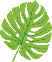 Tropical Leaf Svg Cut File - Transparent Tropical Leaves Background Png