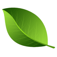 Vector Green Leafs HQ Image Free - Free PNG