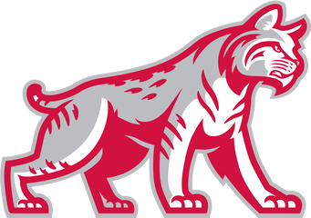 Indiana Wesleyan University Athletic - Indiana Wesleyan University Bobcat Logo Png