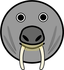 Elephant Seal Horns Fang - Logo Anjing Laut Png