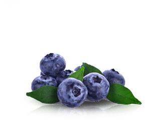 Del Monte Europe - Fresh Produce Bluberries Del Monte Blueberries Png