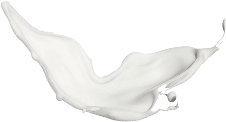 Vector Milk Splash Png Picture All - Art