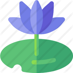 Water Lily - Free Nature Icons Illustration Png