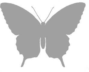 Butterfly Silhouette Image Grayscale - White Butterfly Png