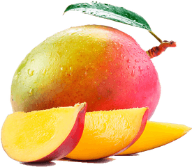 Png Hd Wallpaper - Mango Fruta