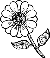 Flower Line Art Png 5 Image - Flower In Line Art