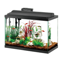 Water Fresh Fish Tank Aquarium - Free PNG