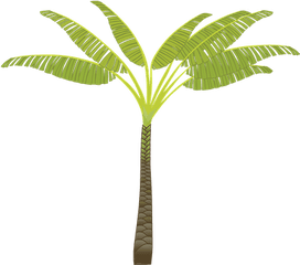 Over 60 Free Palm Leaves Vectors - Pixabay Pixabay Palm Tree Clip Art Png