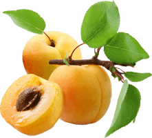 Apricot Fruit Pic Slice Free HD Image - Free PNG