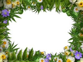 Floral Frame Border Free PNG HQ