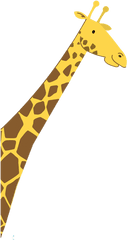 Blippi The Musical - Giraffidae Png