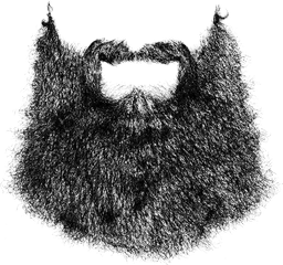 Beard Your Site - Transparent White Beard Png