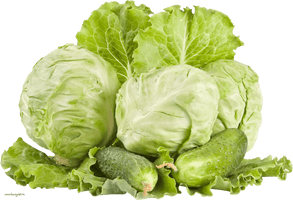 Cabbage Png Image