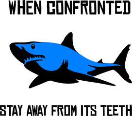 Download Shark Attack Watch Out - Blue Shark Png