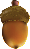 Acorn Png Image Acorns