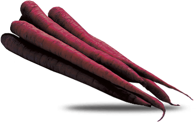 Purple Carrots - Purple Carrots Png