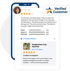 Get More Google Seller Ratings And Product Reviews - Technology Applications Png