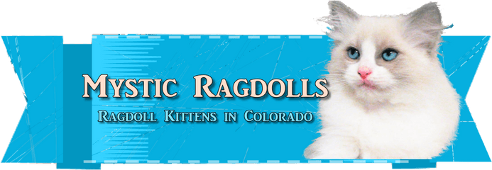 Mystic Ragdolls - Soft Png