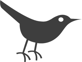 Black Crow - Twitter Bird Icon Transparent Cartoon Jingfm Transparent Bird Icon Png