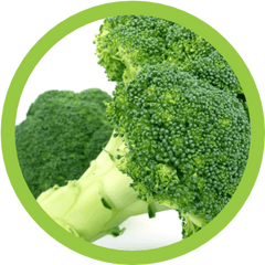 Brocoli - Iberia Fruit Fresh Sl Brokoli Pixabay Png