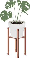 Https - Indoor Plant Vector Png