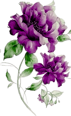 Purple Flowers Png Download - Transparent Purple Flowers Png