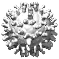 Coronavirus PNG Image High Quality