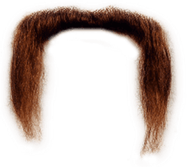 Beards Transparent Png Images - Stickpng Moustache Png